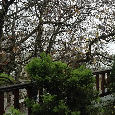 η φωλιά Agios Lavrentios