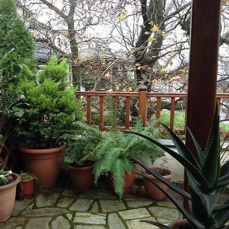 Hotel η φωλιά Agios Lavrentios