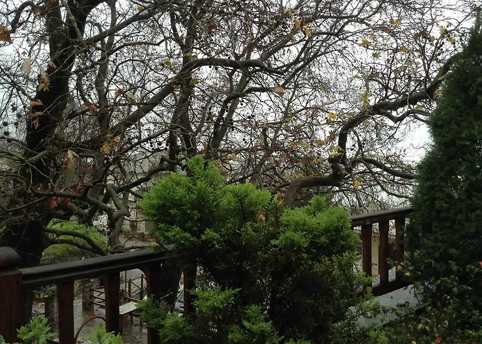 η φωλιά Agios Lavrentios