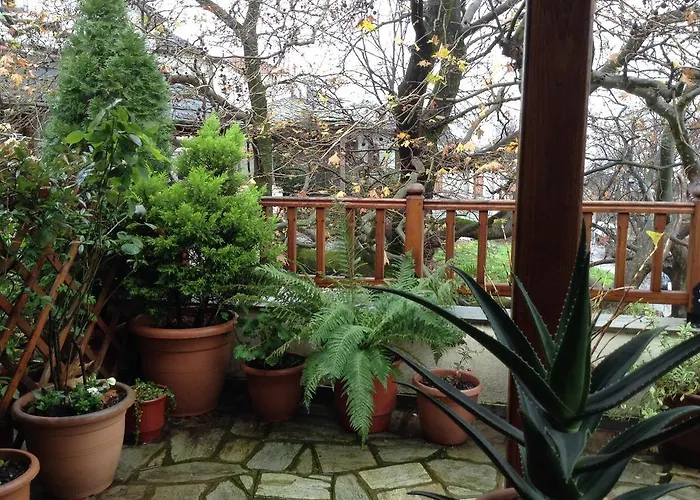 Hotel η φωλιά Agios Lavrentios